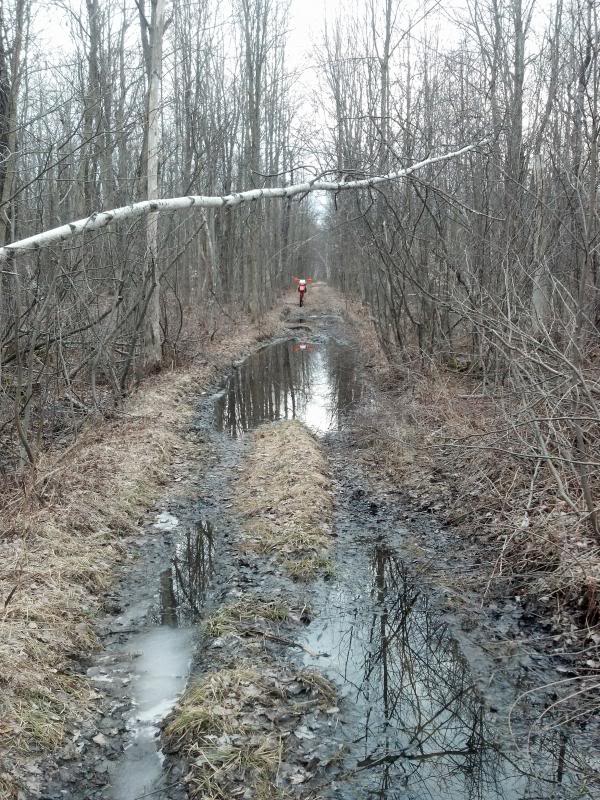 Name: IMG_20130411_173730_970.jpg
Views: 72
Size: 147.8 KB