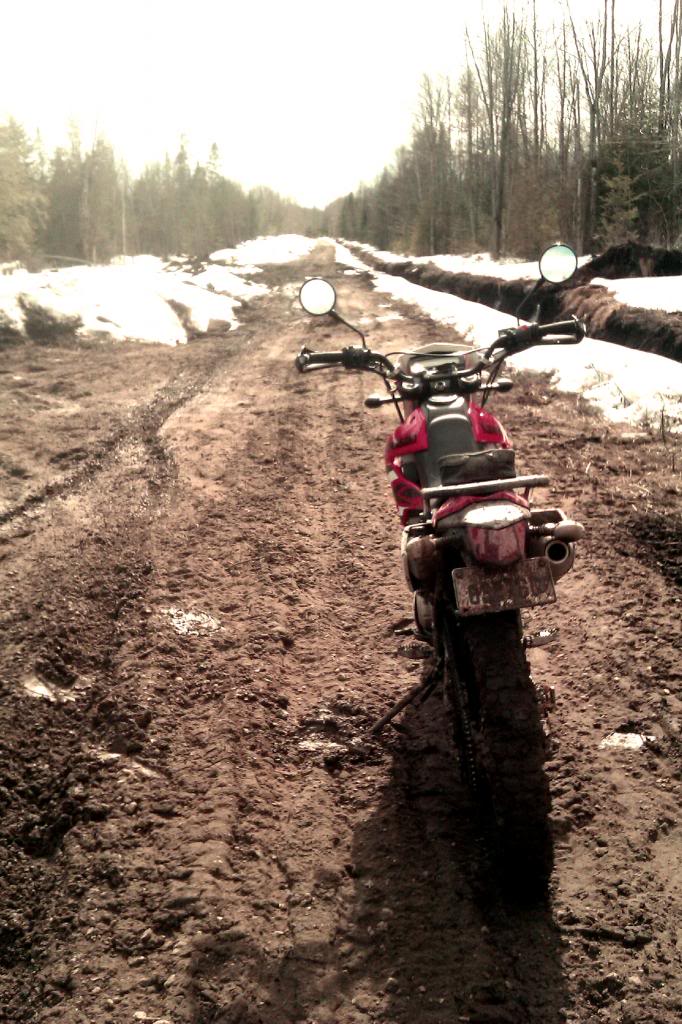 Name:  trail4_zpsaa1efbb2.jpg
Views: 159
Size:  144.5 KB