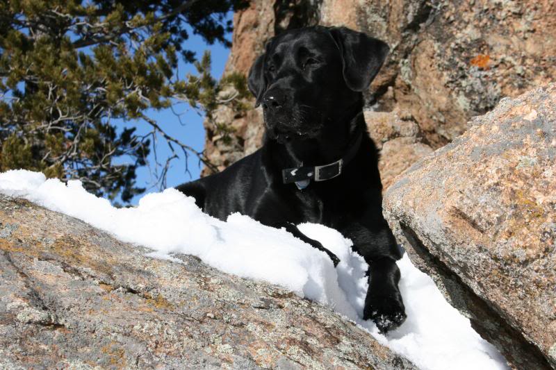 Name:  IMG_5512_zps6996e2b2.jpg
Views: 38
Size:  94.2 KB