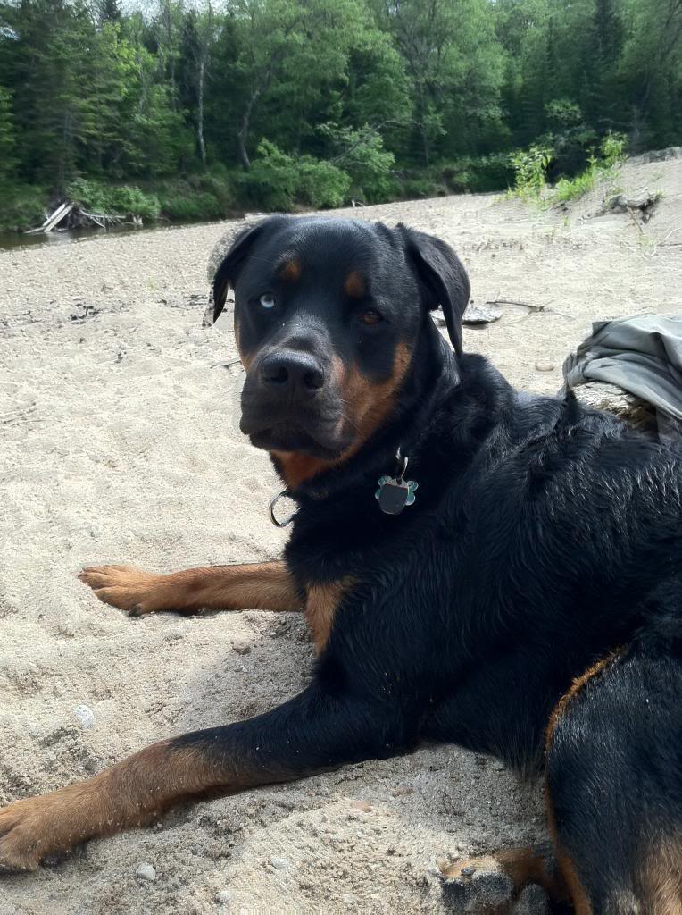 Name:  IMG_0013_zps35cbd4e7.jpg
Views: 61
Size:  151.8 KB