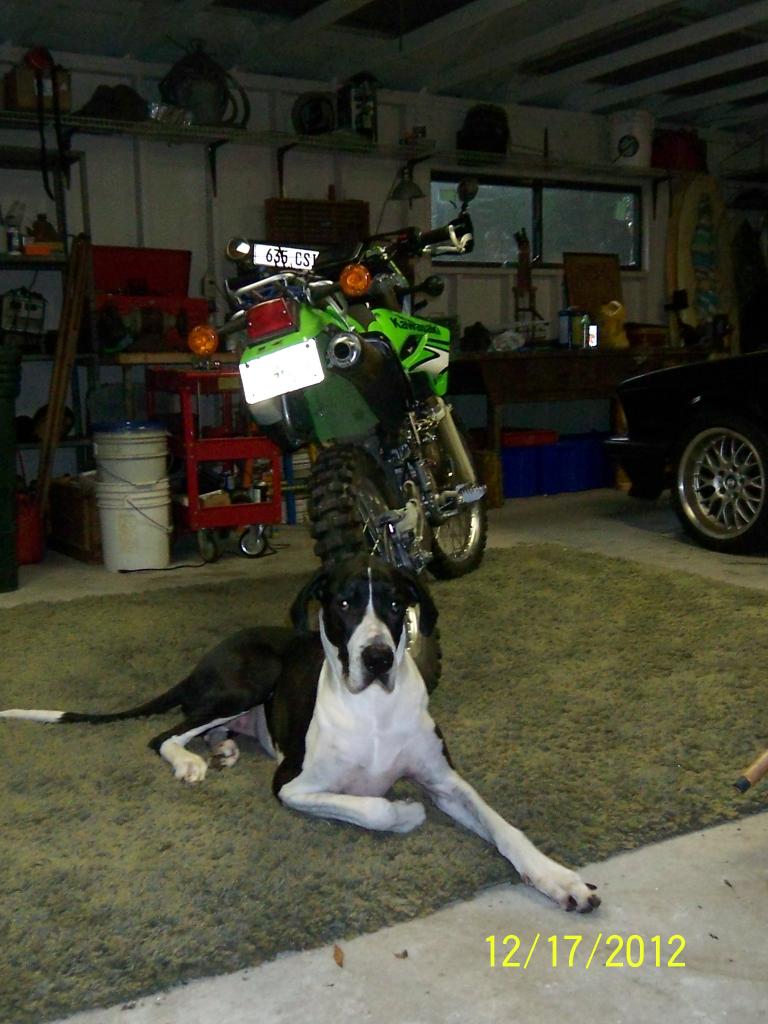 Name:  waterbottleklx009_zps753966c5.jpg
Views: 30
Size:  98.4 KB