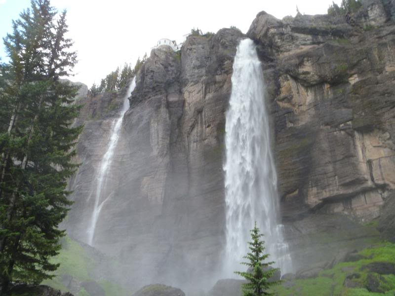 Name: P1010439.jpg
Views: 77
Size: 56.9 KB