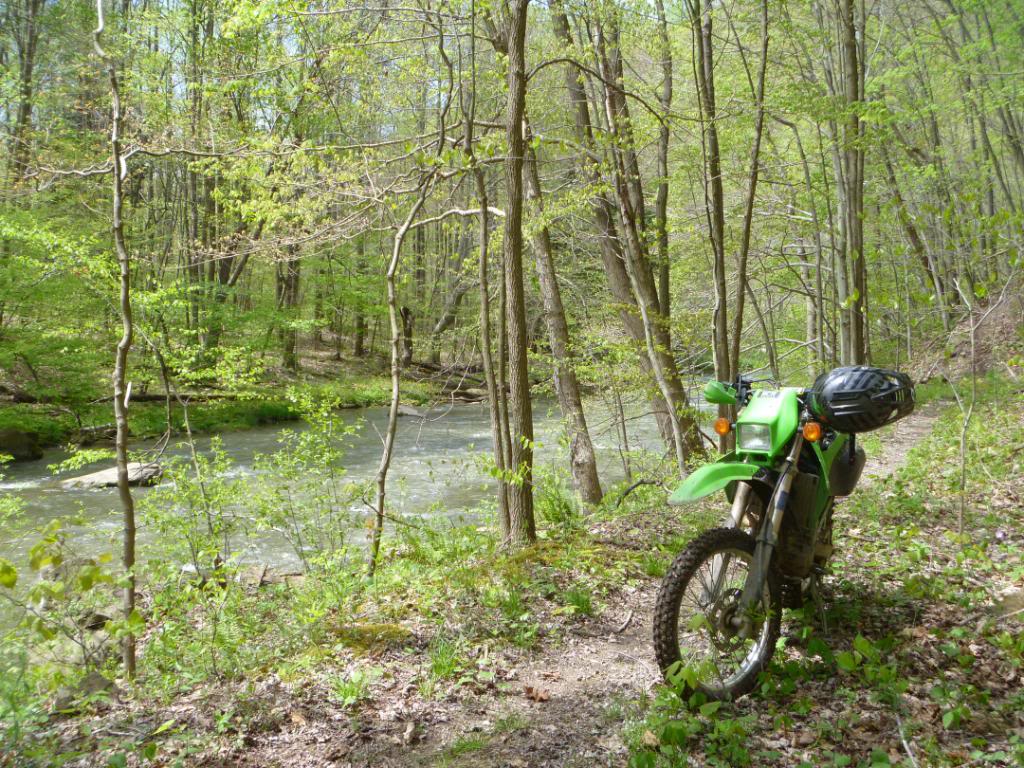 Name:  32712051.jpg
Views: 28
Size:  216.2 KB