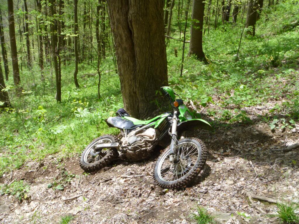 Name:  32712047.jpg
Views: 28
Size:  216.0 KB