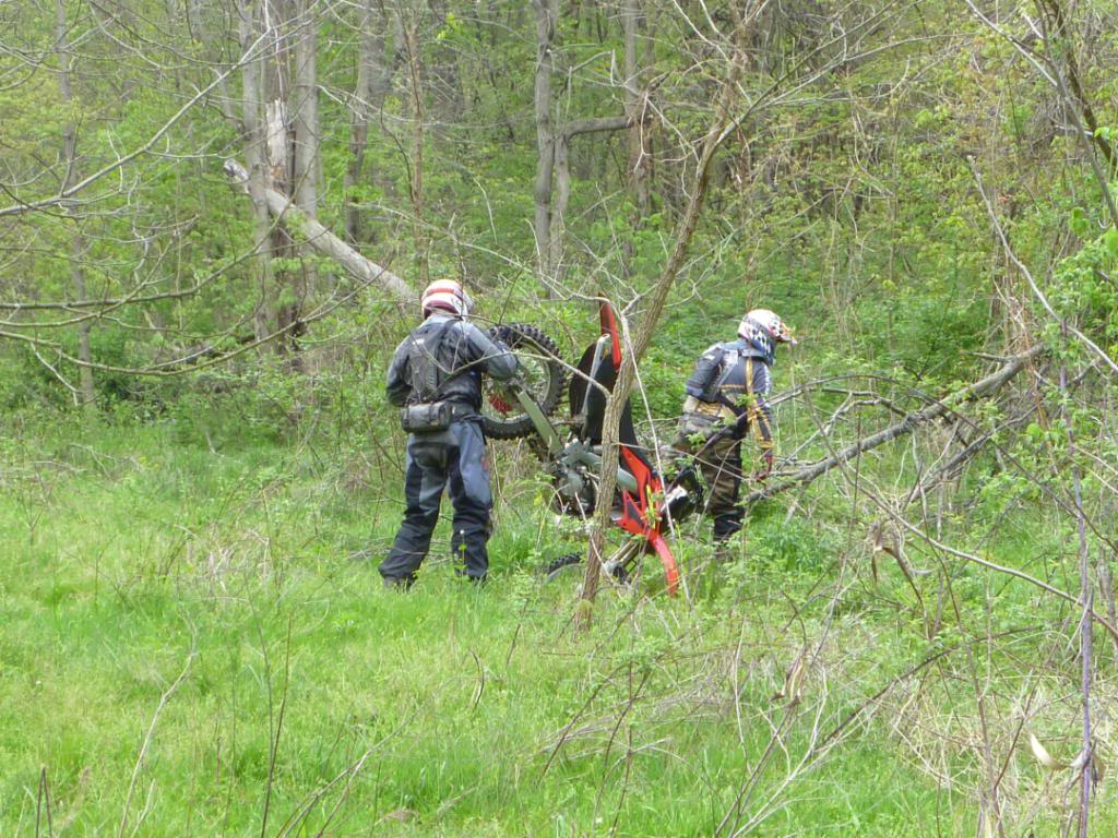 Name:  32712016.jpg
Views: 30
Size:  183.4 KB