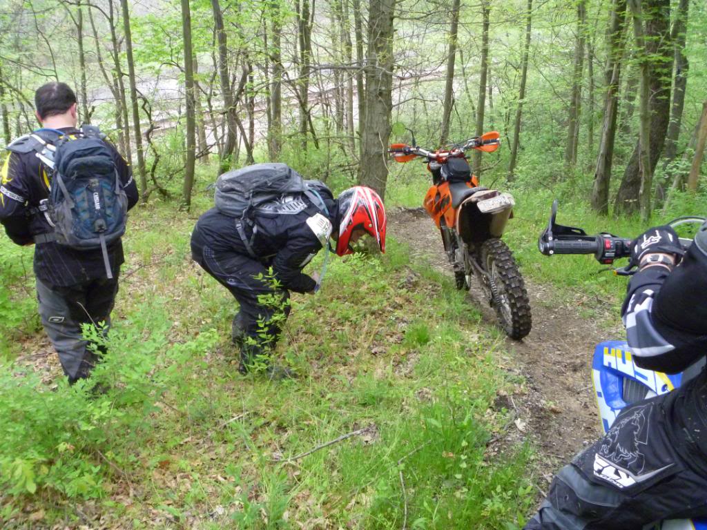 Name:  5-5-12042.jpg
Views: 27
Size:  178.7 KB