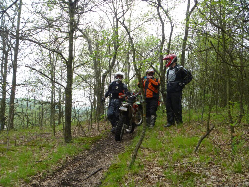 Name:  5-5-12045.jpg
Views: 30
Size:  200.4 KB