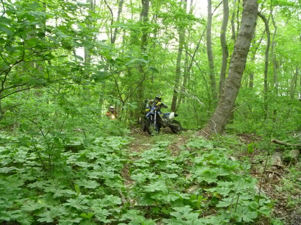 Name:  5-5-12022.jpg
Views: 28
Size:  177.6 KB