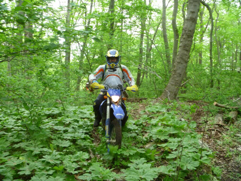 Name:  5-5-12024.jpg
Views: 27
Size:  173.0 KB