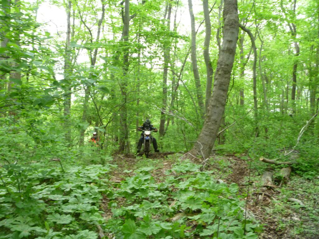 Name:  5-5-12025.jpg
Views: 26
Size:  170.9 KB