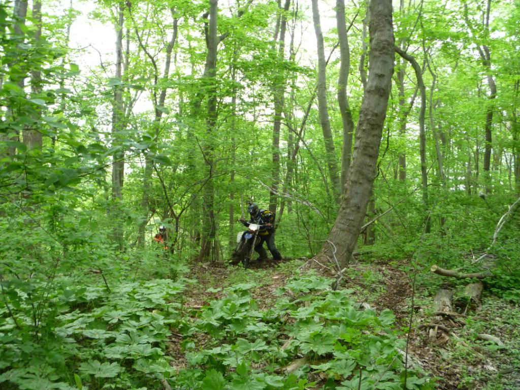 Name:  5-5-12026.jpg
Views: 31
Size:  188.7 KB