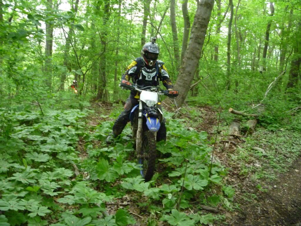 Name:  5-5-12027.jpg
Views: 25
Size:  160.3 KB