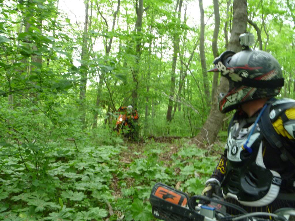 Name:  5-5-12028.jpg
Views: 28
Size:  140.4 KB