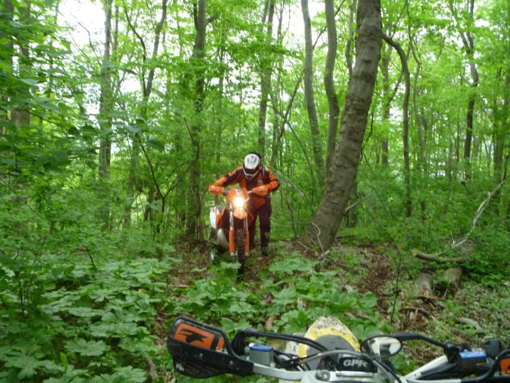 Name:  5-5-12029.jpg
Views: 28
Size:  159.5 KB