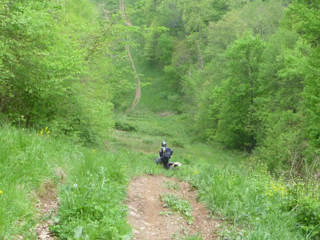 Name:  5-5-12007.jpg
Views: 32
Size:  148.7 KB