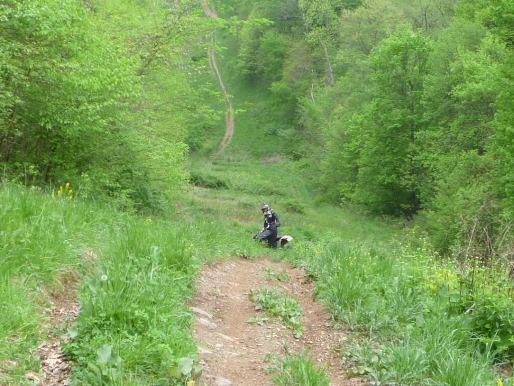 Name:  5-5-12008.jpg
Views: 31
Size:  158.7 KB