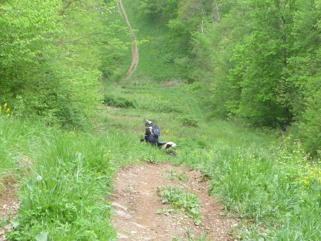 Name:  5-5-12009.jpg
Views: 31
Size:  154.0 KB