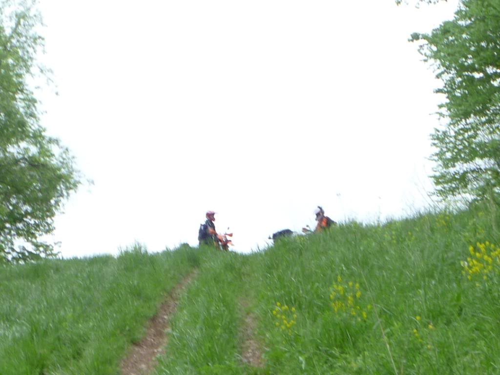 Name:  5-5-12010.jpg
Views: 30
Size:  68.3 KB