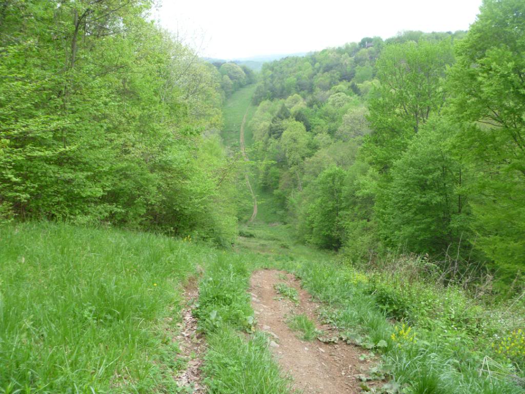 Name:  5-5-12011.jpg
Views: 28
Size:  150.2 KB