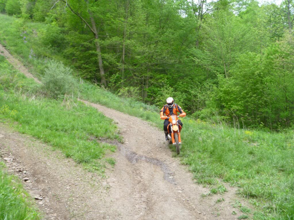 Name:  5-5-12017.jpg
Views: 29
Size:  148.6 KB