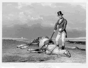 Name:  BeatDeadHorse.gif
Views: 28
Size:  113.8 KB