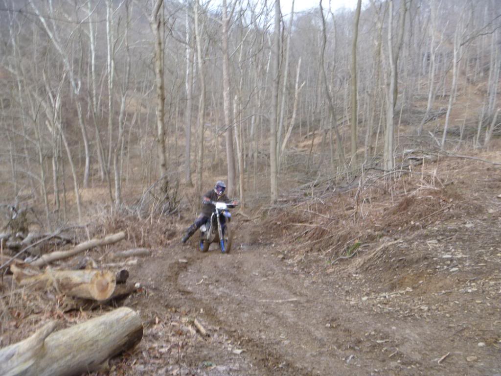 Name:  3412079.jpg
Views: 37
Size:  116.2 KB