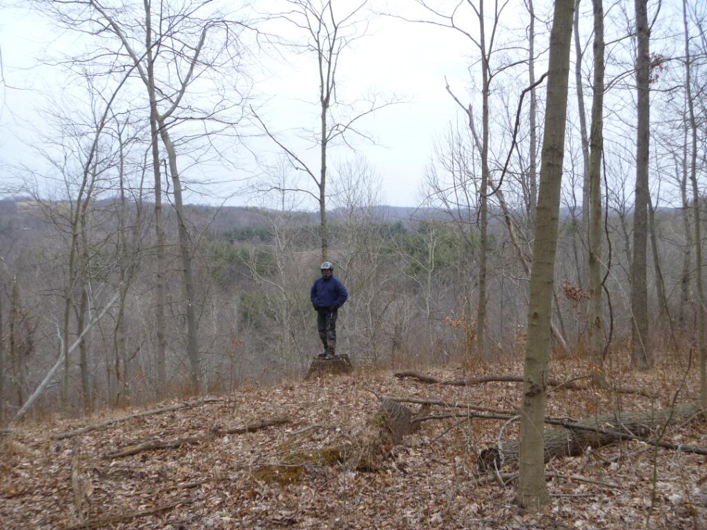 Name:  3412041.jpg
Views: 81
Size:  149.4 KB