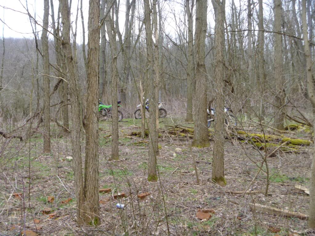 Name:  3412009.jpg
Views: 87
Size:  166.5 KB