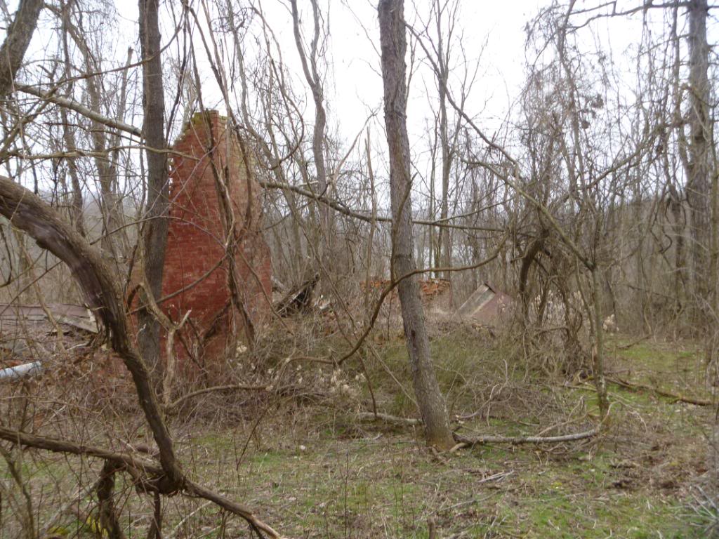 Name:  3412010.jpg
Views: 117
Size:  166.8 KB