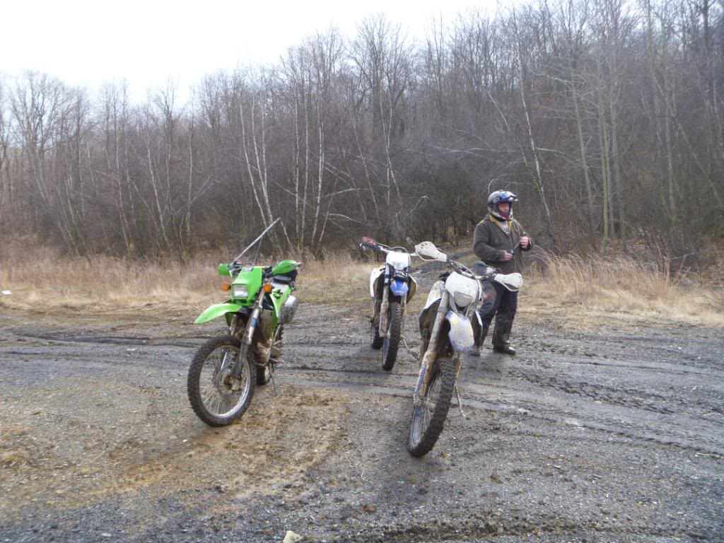 Name:  3412016.jpg
Views: 42
Size:  145.9 KB