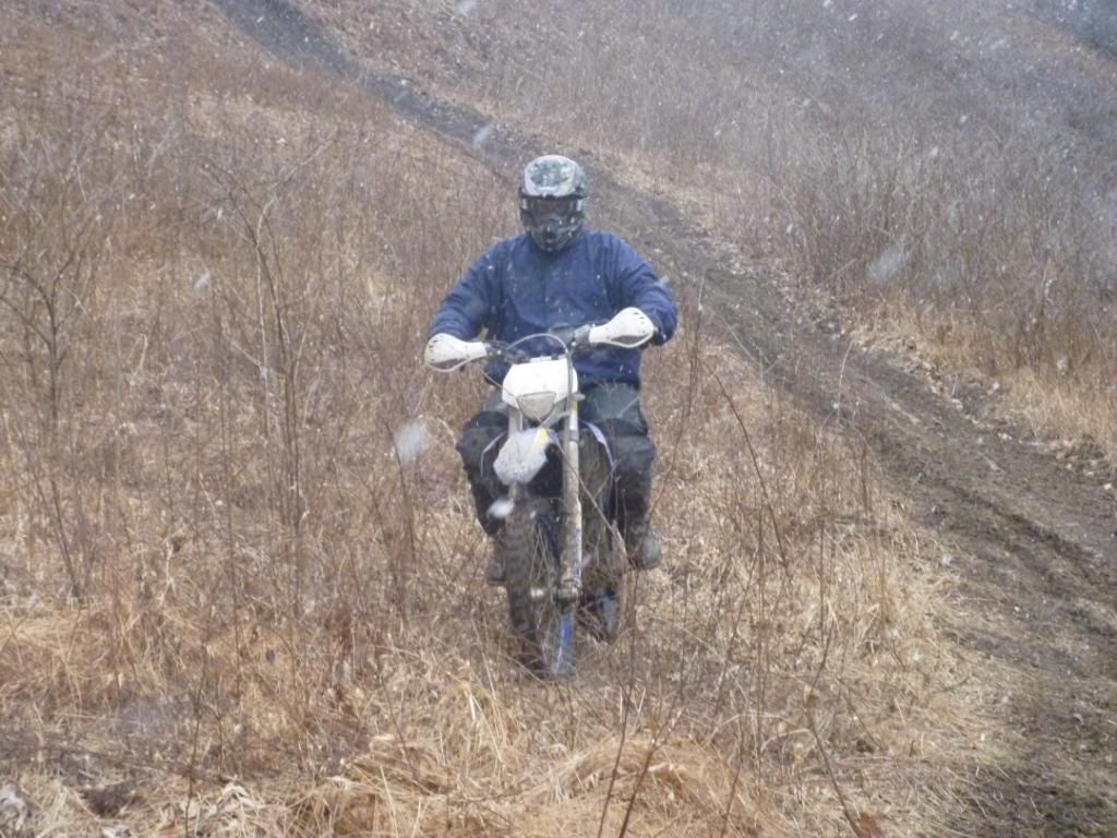 Name:  3412025.jpg
Views: 42
Size:  131.1 KB