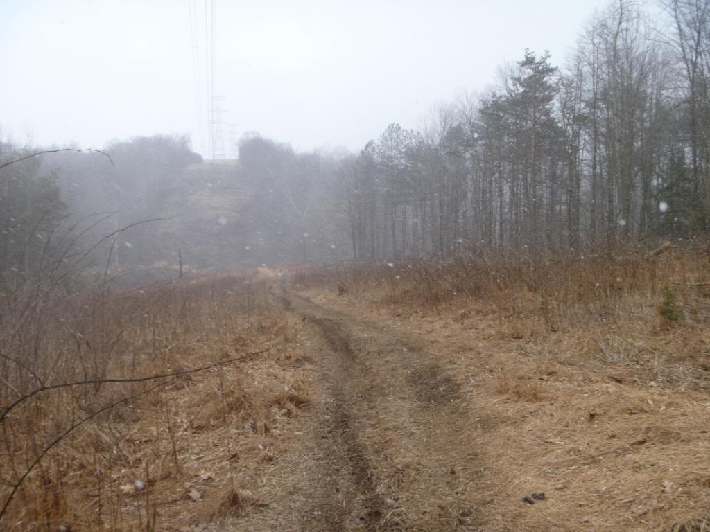 Name:  3412028.jpg
Views: 48
Size:  94.7 KB