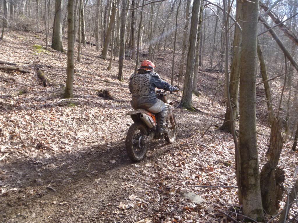 Name:  mdra028.jpg
Views: 39
Size:  193.9 KB