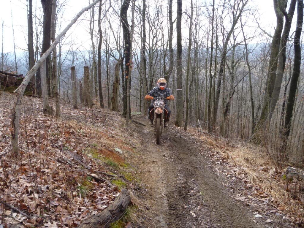 Name:  mdra016.jpg
Views: 42
Size:  187.9 KB