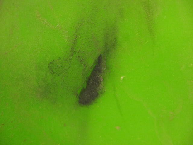 Name: IMG_9493.jpg
Views: 105
Size: 30.2 KB
