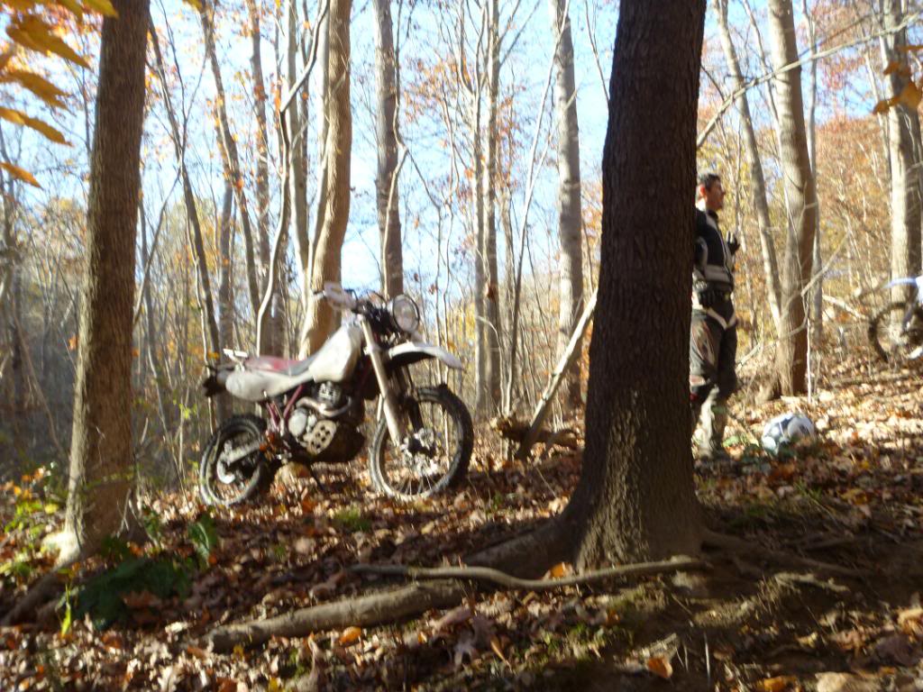 Name:  P1020552.jpg
Views: 102
Size:  158.7 KB