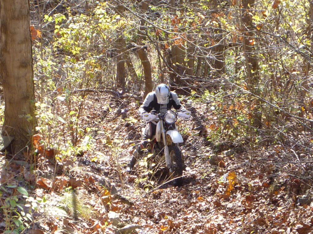 Name:  P1020531.jpg
Views: 108
Size:  220.9 KB