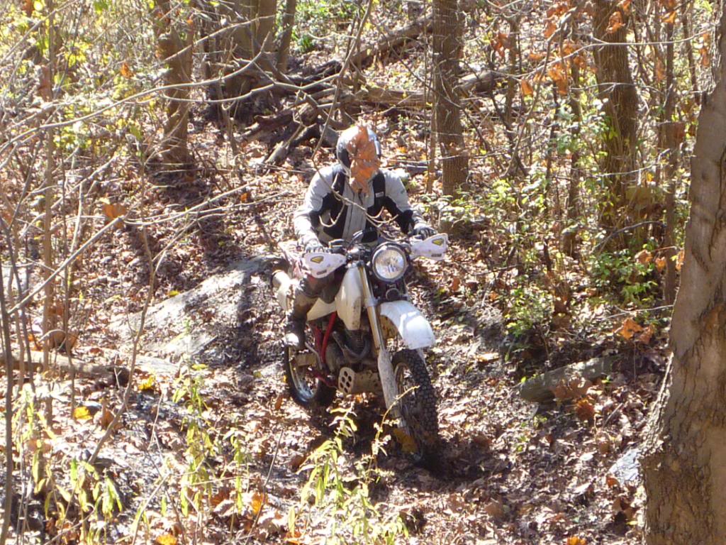 Name:  P1020532.jpg
Views: 108
Size:  213.8 KB