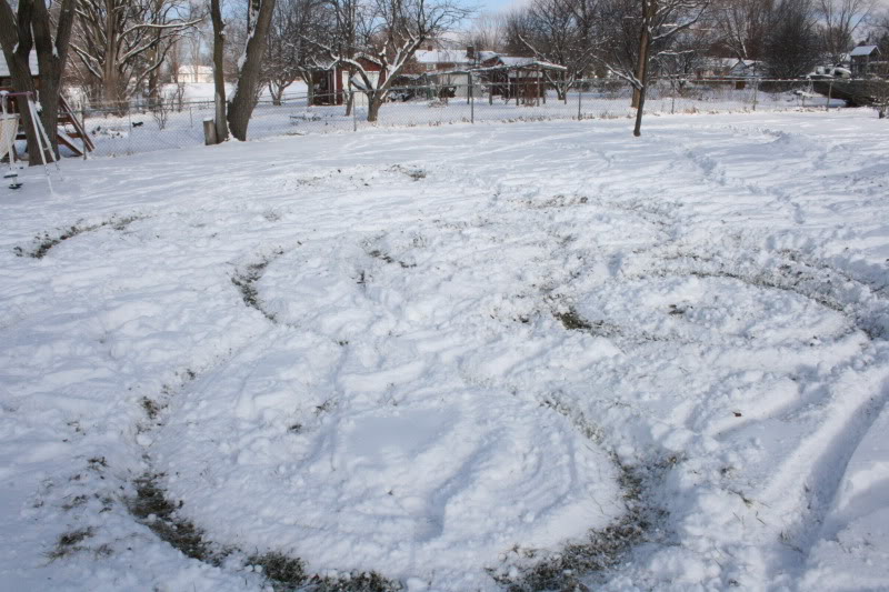 Name:  IMG_7702.jpg
Views: 24
Size:  99.6 KB