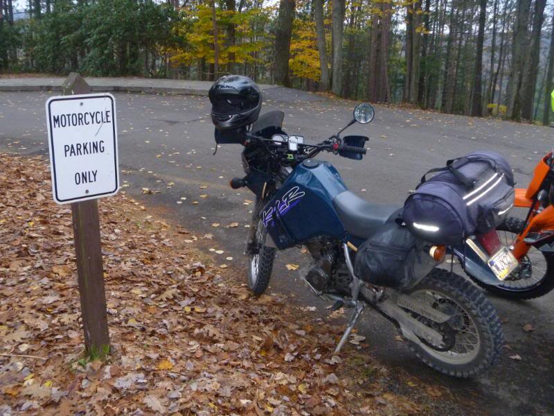 Name:  P1020448.jpg
Views: 63
Size:  96.1 KB