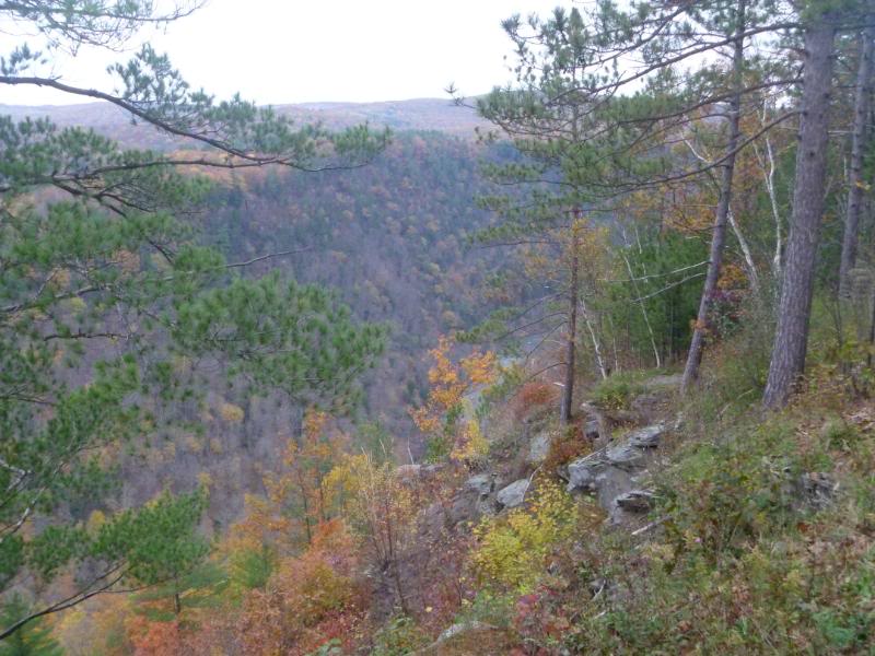 Name:  P1020451.jpg
Views: 75
Size:  87.5 KB