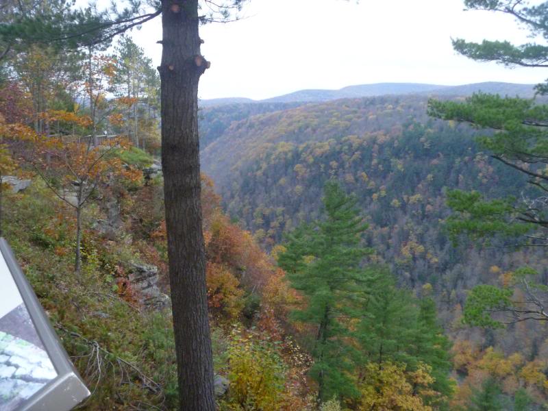 Name:  P1020452.jpg
Views: 107
Size:  78.4 KB