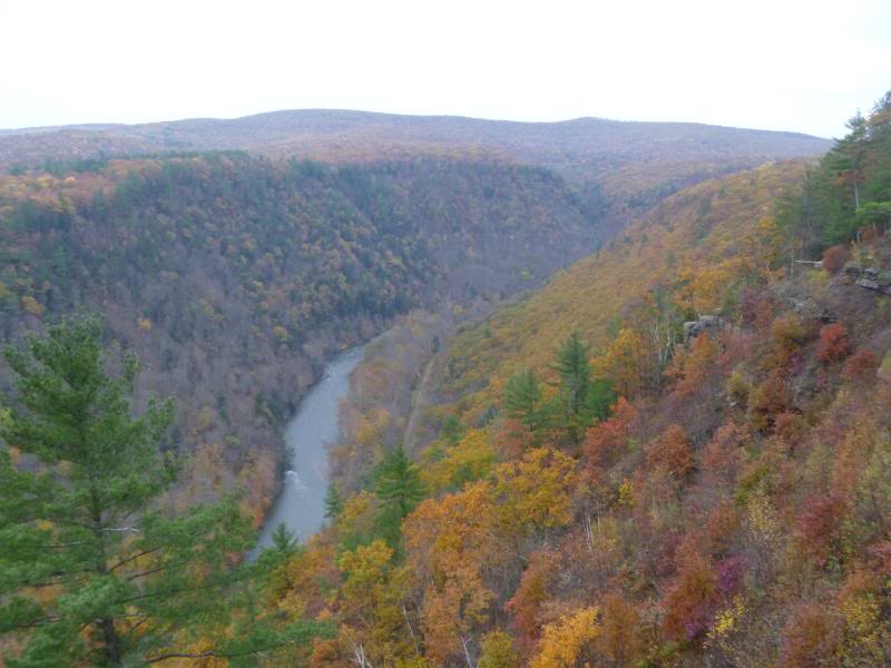 Name:  P1020454.jpg
Views: 165
Size:  60.0 KB