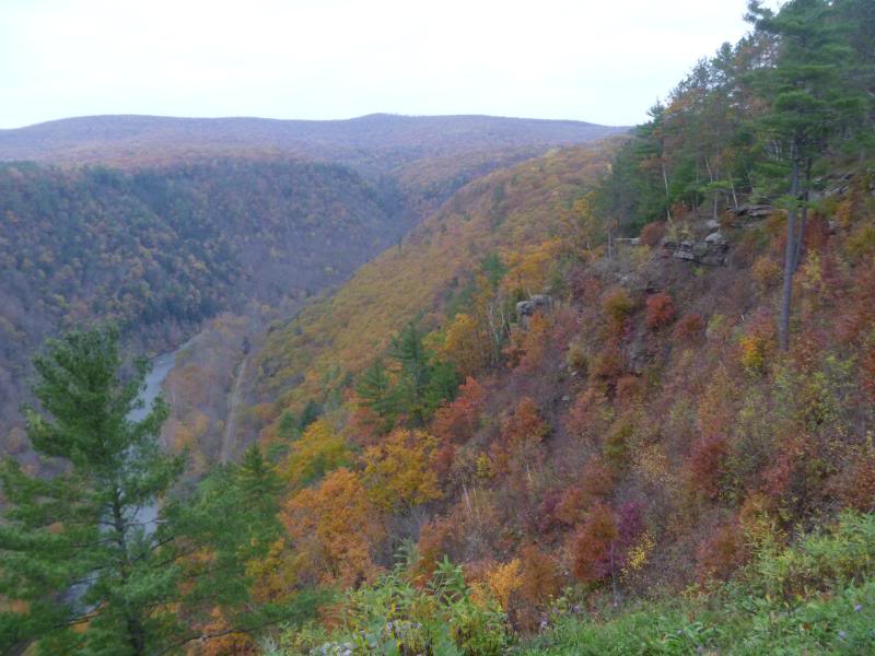 Name:  P1020459.jpg
Views: 99
Size:  67.5 KB