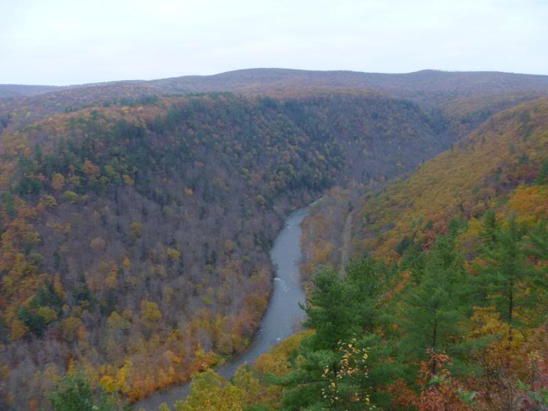 Name:  P1020463.jpg
Views: 66
Size:  54.2 KB