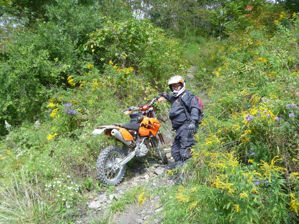Name:  P1020375.jpg
Views: 55
Size:  374.8 KB