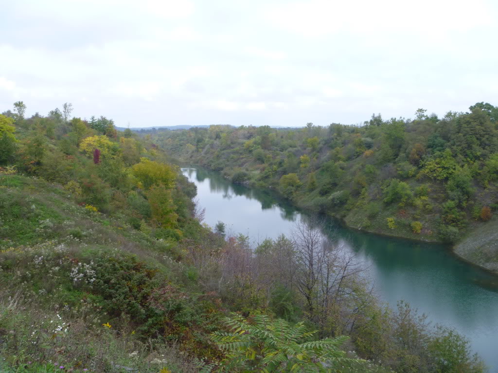 Name:  P1020371.jpg
Views: 71
Size:  143.8 KB