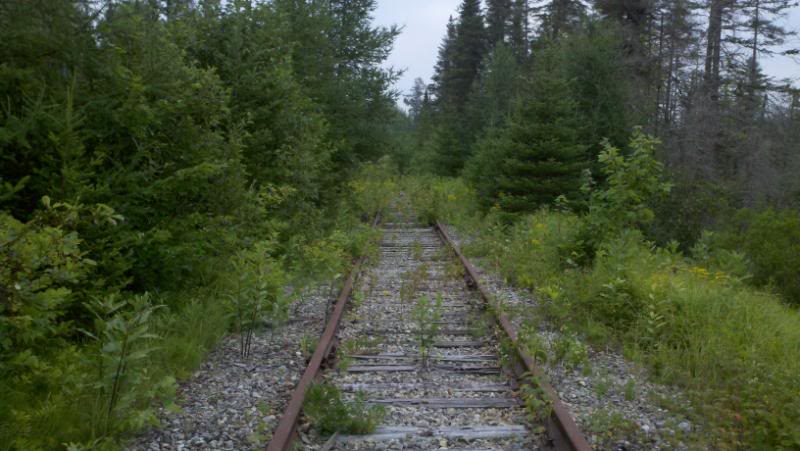 Name: 2011-07-21_11-24-05_978.jpg
Views: 25
Size: 62.9 KB