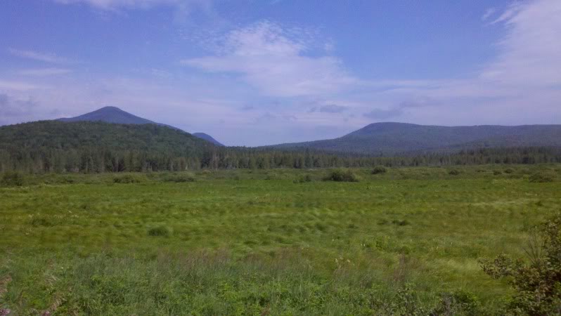 Name: 2011-07-22_10-03-32_176.jpg
Views: 57
Size: 50.9 KB