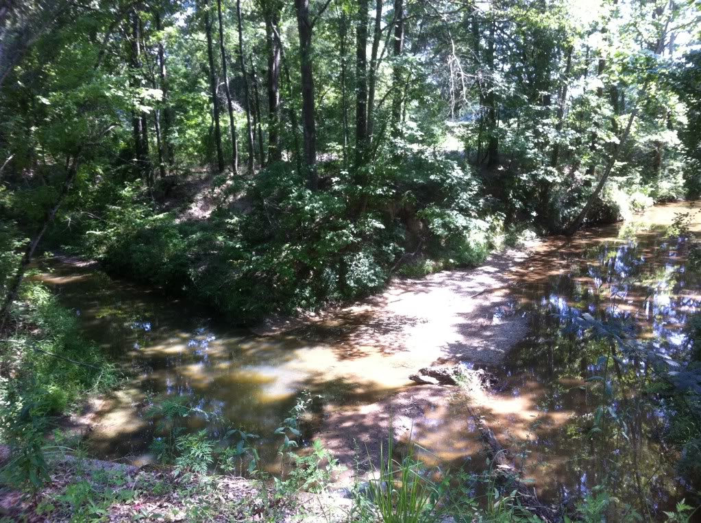 Name:  iphonepics5042.jpg
Views: 99
Size:  283.9 KB